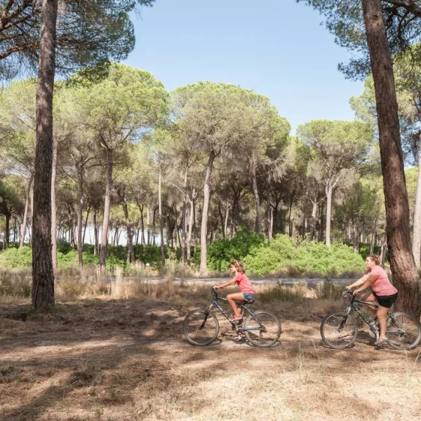 camping-village-donarrayan-park-hinojos-z817l