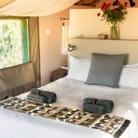 bsorah-luxury-tented-camp-broederstroom-fvzkf