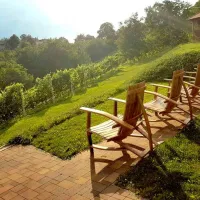 wein-camp-hazic-sveti-martin-na-muri-d6tlg