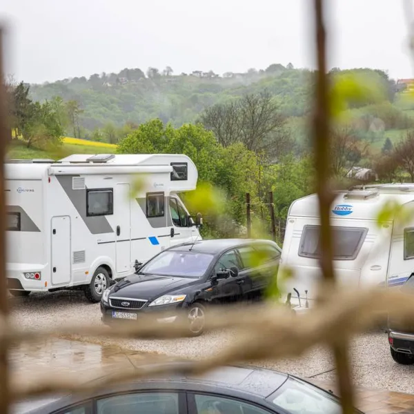 wein-camp-hazic-sveti-martin-na-muri-sbpjw