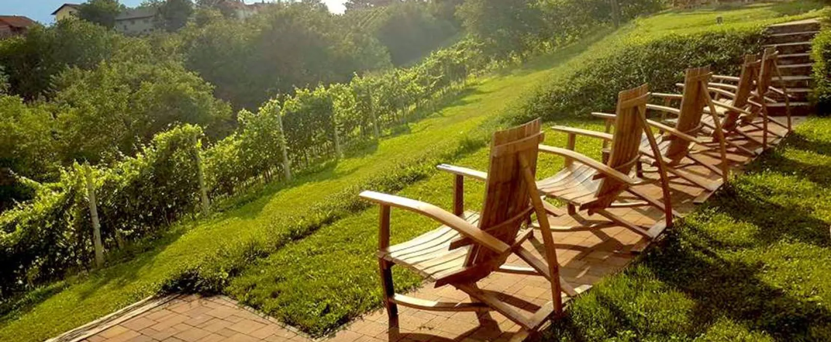 Wein Camp Hažić