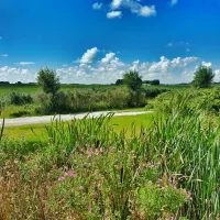 boerencamping-ny-herema-tzum-tj3a8