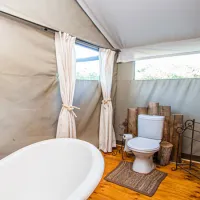 mountain-view-safari-lodge-hoedspruit-valley-of-the-olifants-nawih
