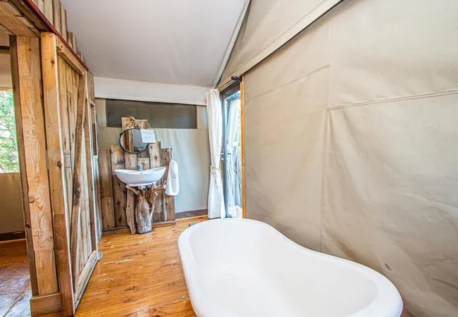 mountain-view-safari-lodge-hoedspruit-valley-of-the-olifants-yquqy