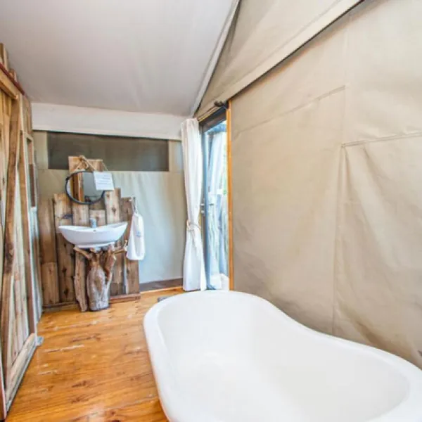 mountain-view-safari-lodge-hoedspruit-valley-of-the-olifants-yquqy