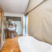 mountain-view-safari-lodge-hoedspruit-valley-of-the-olifants-yquqy