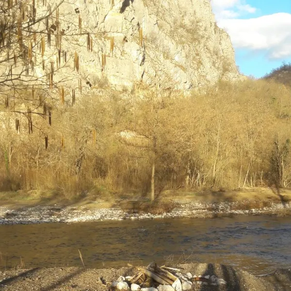 camping-dobrunvik-visegrad-c9urg