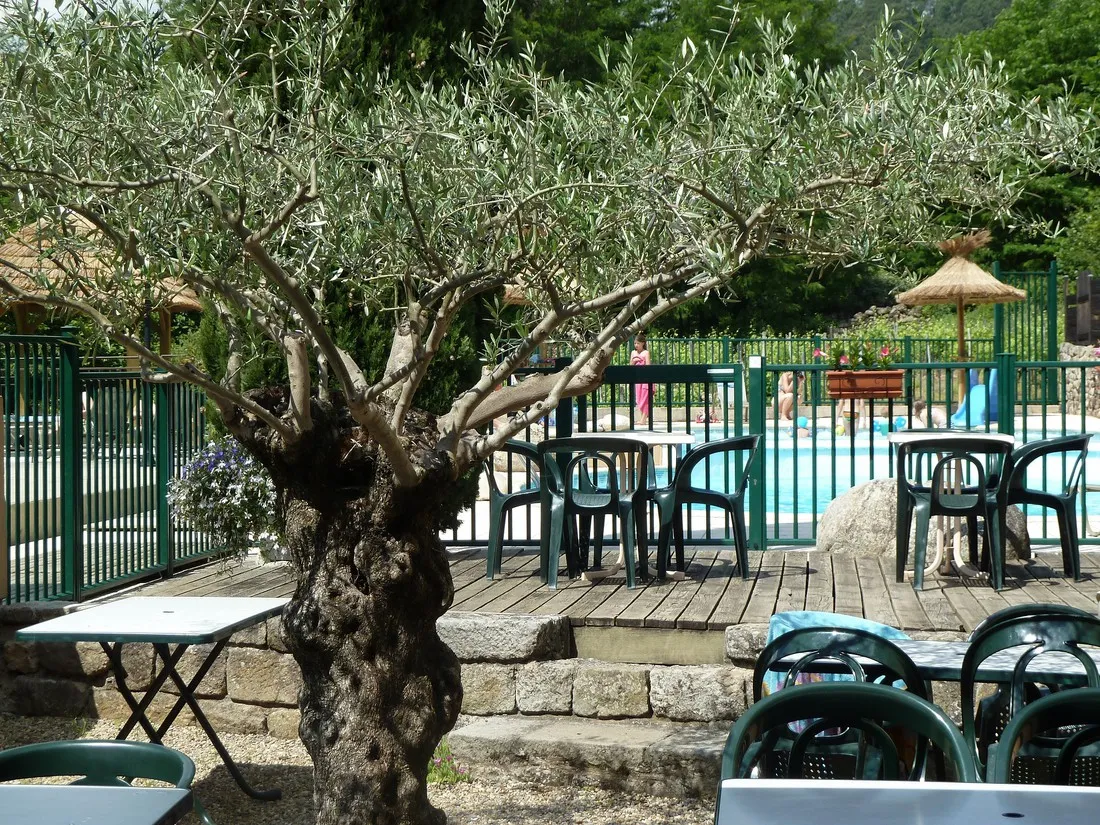 les-cruses-ribes-ardeche-f9lql