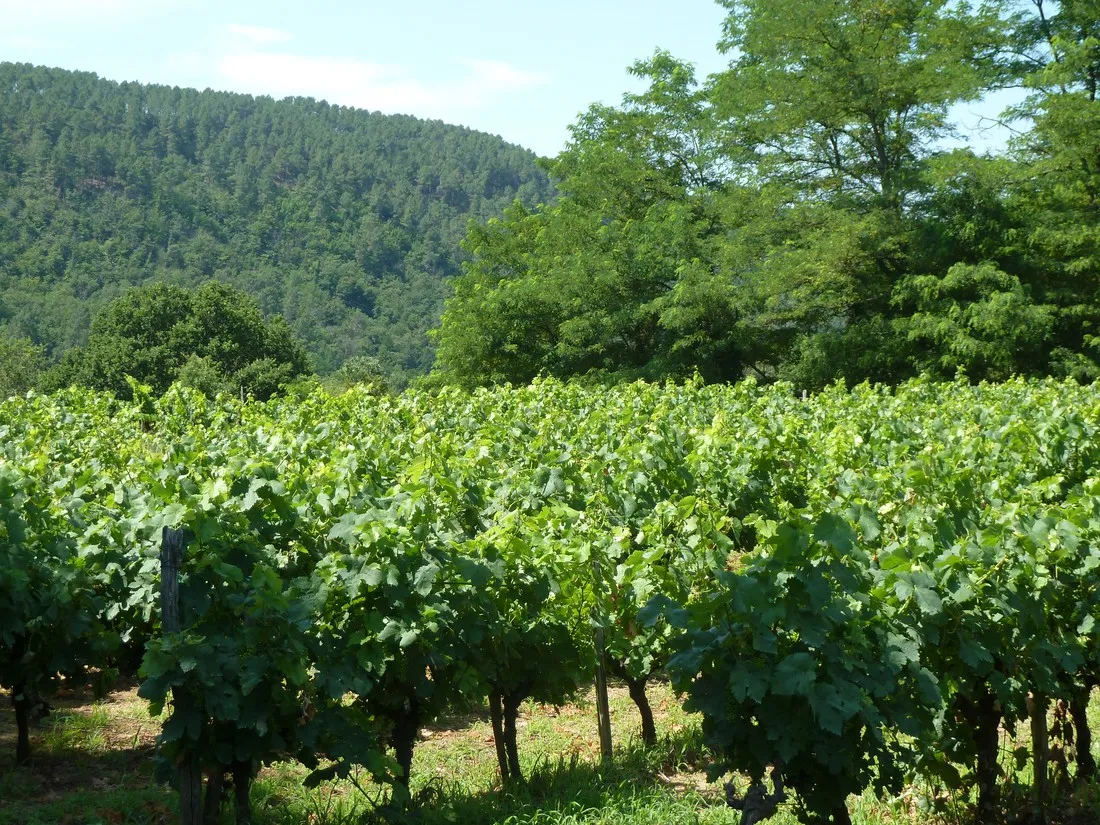 les-cruses-ribes-ardeche-ucybq