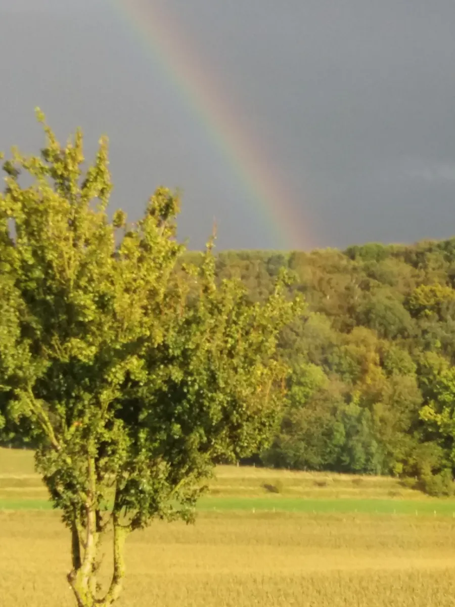 gulperberg-panorama-glamping-gulpen-fuhr9
