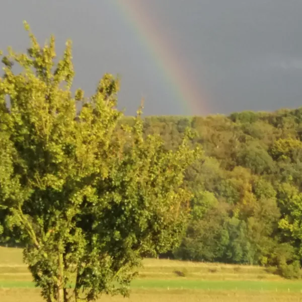 gulperberg-panorama-glamping-gulpen-fuhr9