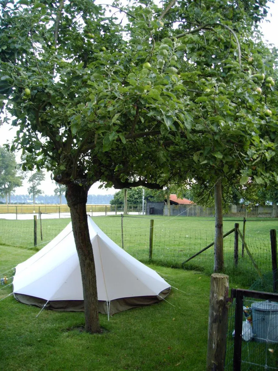 minicamping-vrede-en-rust-nieuwvliet-nieuwvliet-bad-6dmqb