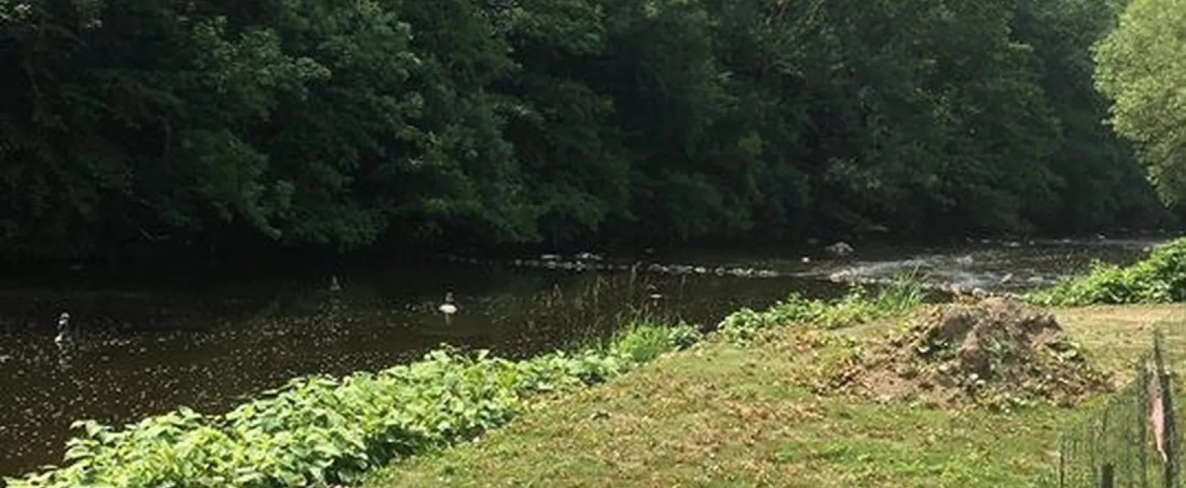 Eden