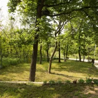 st-mokranjac-kusjak-bb-negotin-fm7jz