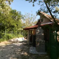 st-mokranjac-kusjak-bb-negotin-hbm6p