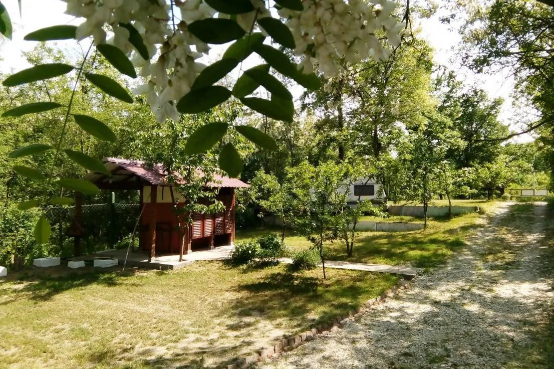 st-mokranjac-kusjak-bb-negotin-mnmbv