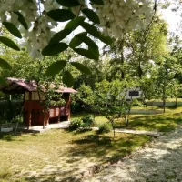 st-mokranjac-kusjak-bb-negotin-mnmbv