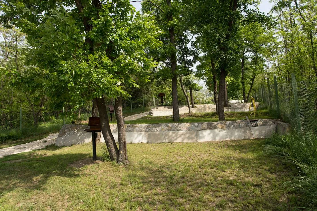 st-mokranjac-kusjak-bb-negotin-pftxf