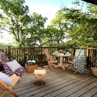 hoots-treehouse-mayfield-9moku