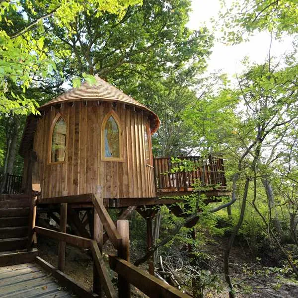 Hoots Treehouse