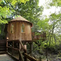 Hoots Treehouse