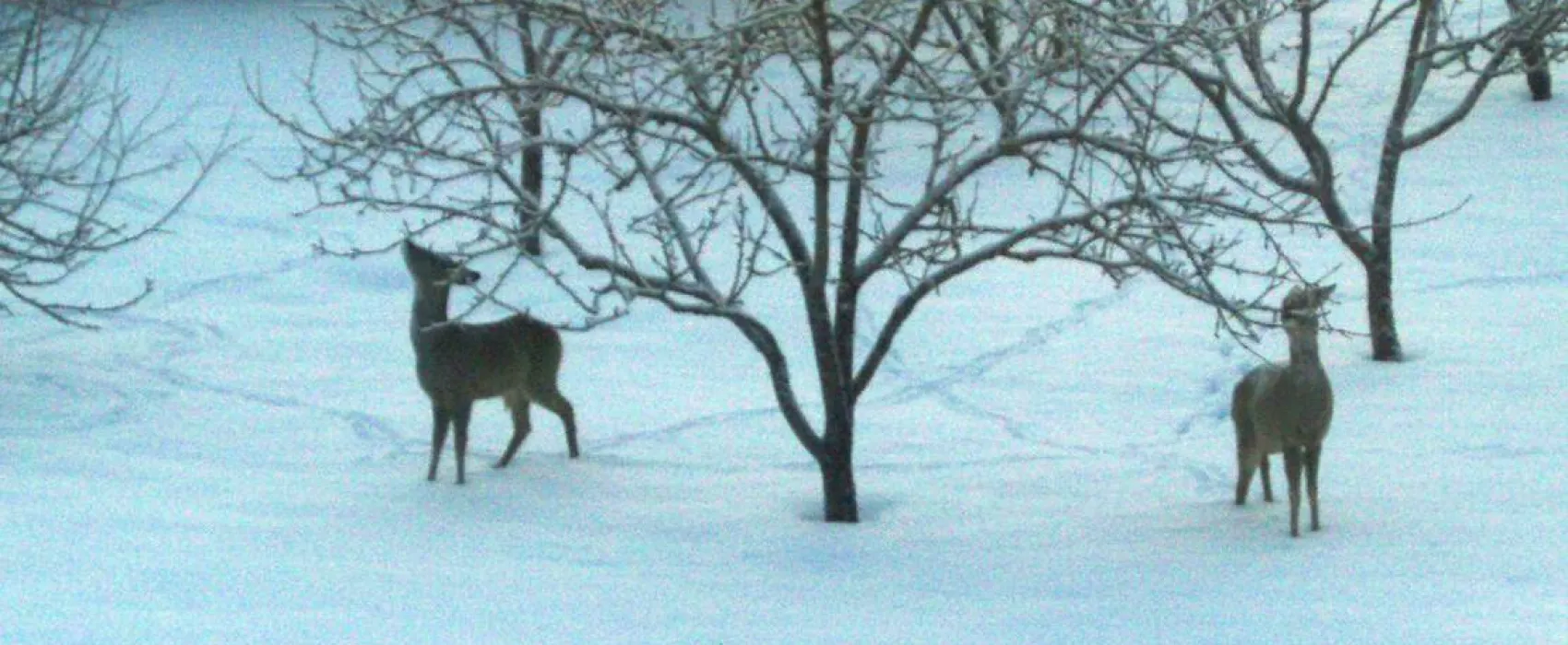 Välja Turismitalu