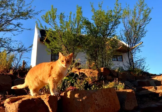 enjo-nature-farm-biedouw-valley-1l4xt