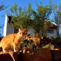 enjo-nature-farm-biedouw-valley-1l4xt