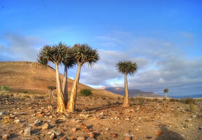 enjo-nature-farm-biedouw-valley-5zibn