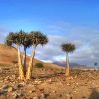 enjo-nature-farm-biedouw-valley-5zibn