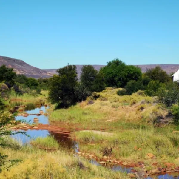 enjo-nature-farm-biedouw-valley-eyjyo