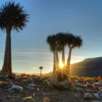 enjo-nature-farm-biedouw-valley-zev9n