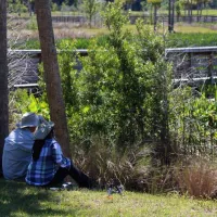 Phipps Park & Campground