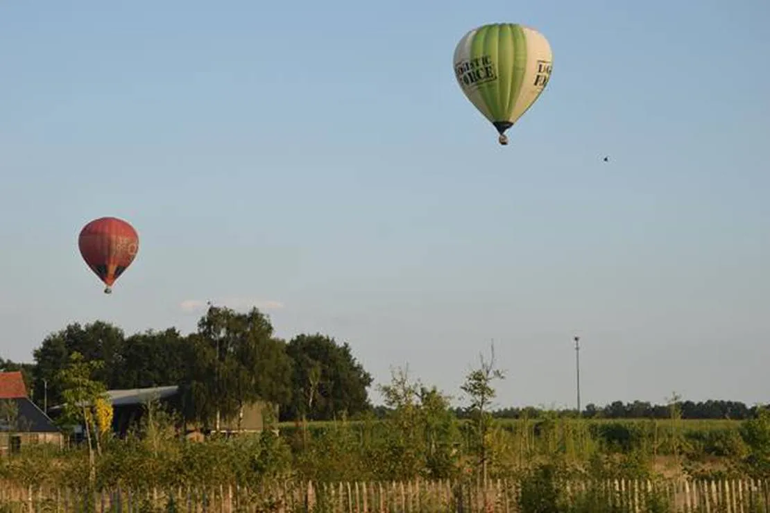 mini-camping-petit013-tilburg-6bimh