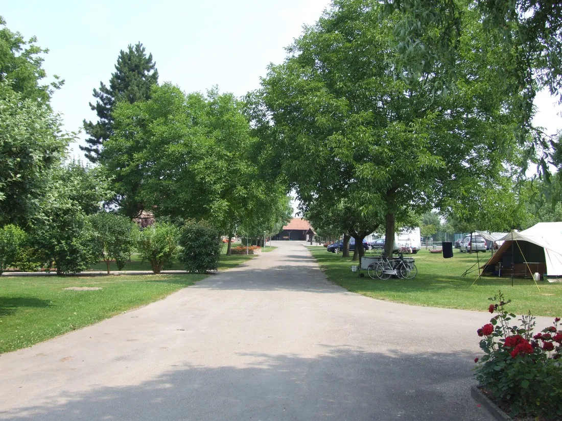 camping-la-ferme-des-tuileries-rhinau-3rg8g