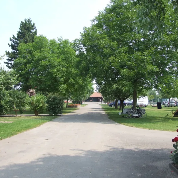 camping-la-ferme-des-tuileries-rhinau-3rg8g
