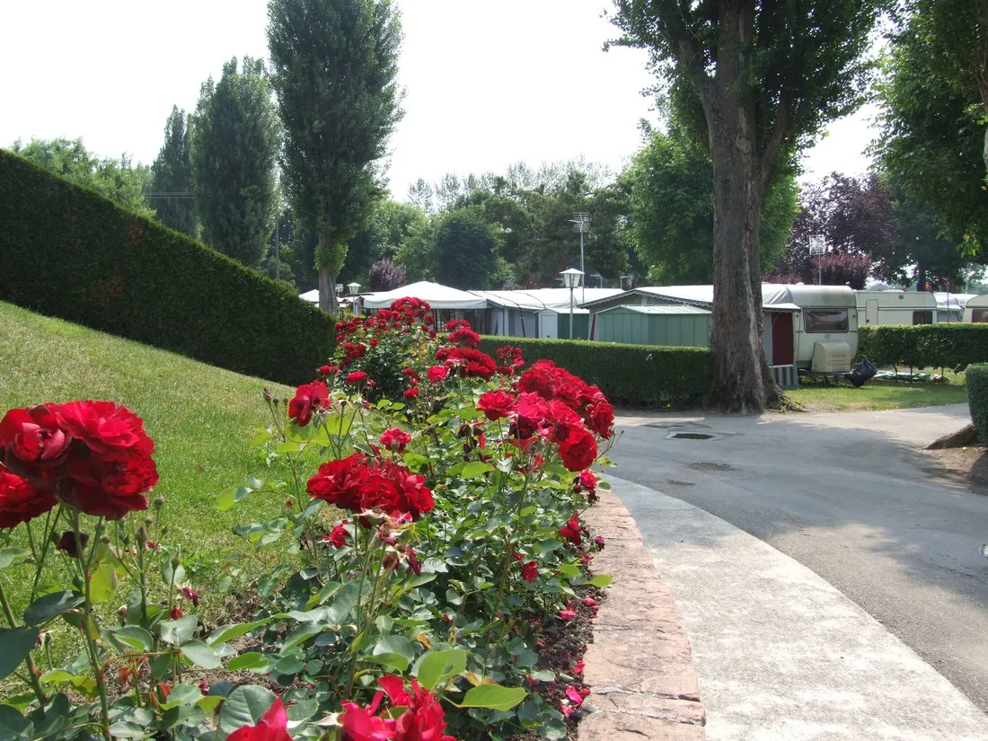 camping-la-ferme-des-tuileries-rhinau-uuxkt