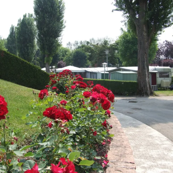 camping-la-ferme-des-tuileries-rhinau-uuxkt