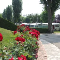 camping-la-ferme-des-tuileries-rhinau-uuxkt