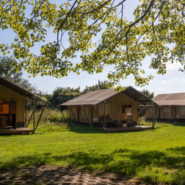 camping-le-chesle-vogenee-8ezds