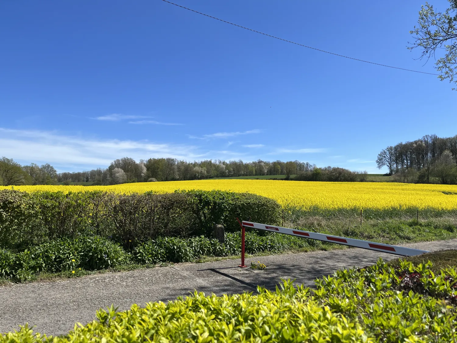 camping-le-chesle-vogenee-koher