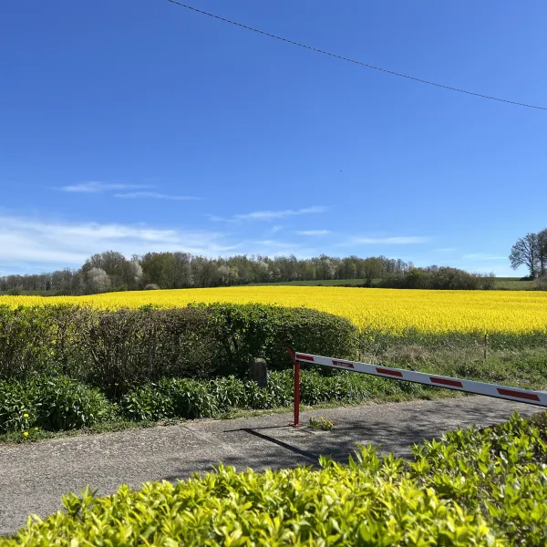 camping-le-chesle-vogenee-koher