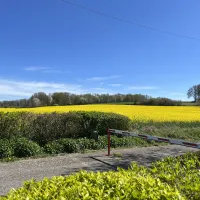 camping-le-chesle-vogenee-koher