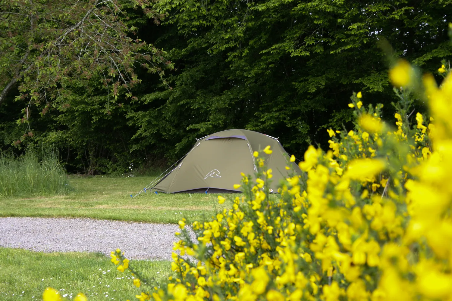 camping-le-chesle-vogenee-u7vtq