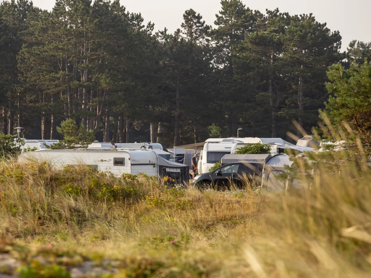 dcu-flyvesandet-strand-camp-otterup-bv1io