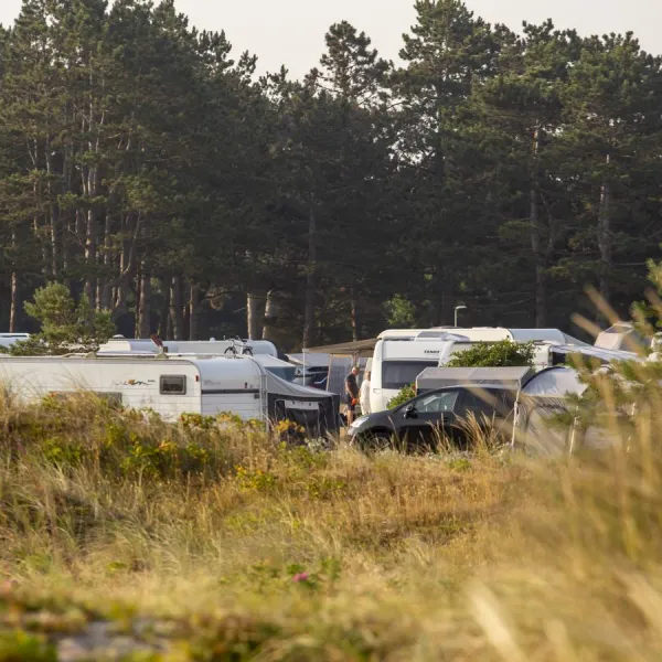 DCU Camping Flyvesandet Strand
