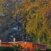 feriendorf-pulvermaar-gillenfeld-0koh8
