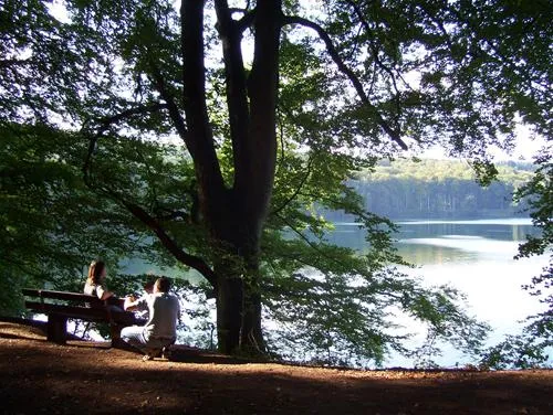 feriendorf-pulvermaar-gillenfeld-xlfpq