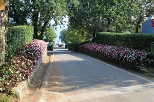 campeggio-piantelle-moniga-del-garda-fnfuy