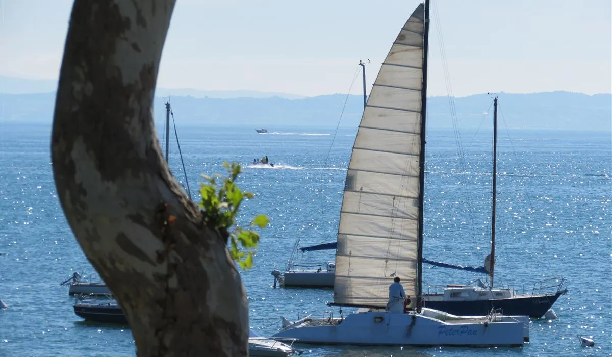 campeggio-piantelle-moniga-del-garda-qxvj1
